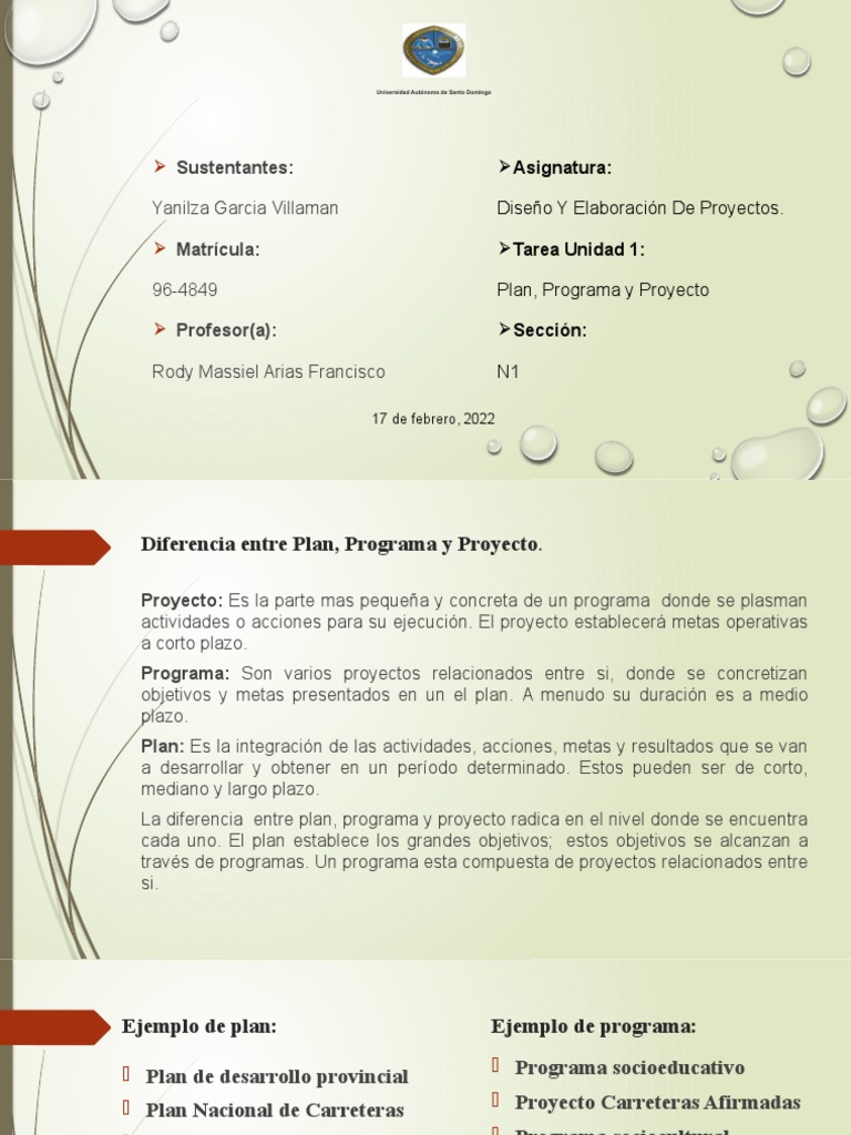 Diferencias entre Plan, Programa y Proyecto | PDF