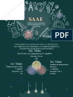 0.2. Lineamientos SAAE - Presentación