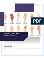 Curso Anatomia Humana 0 Tejidos Corporales