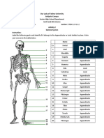 Padecio Activity2