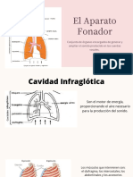 El Aparato Fonador