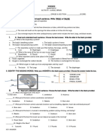 Q2-Activity Science-Lungs and Brain