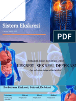 Sistem Ekskresi