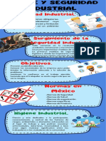 Infografia Higiene y Seguridad Industrial