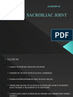 Sacroiliac Joint
