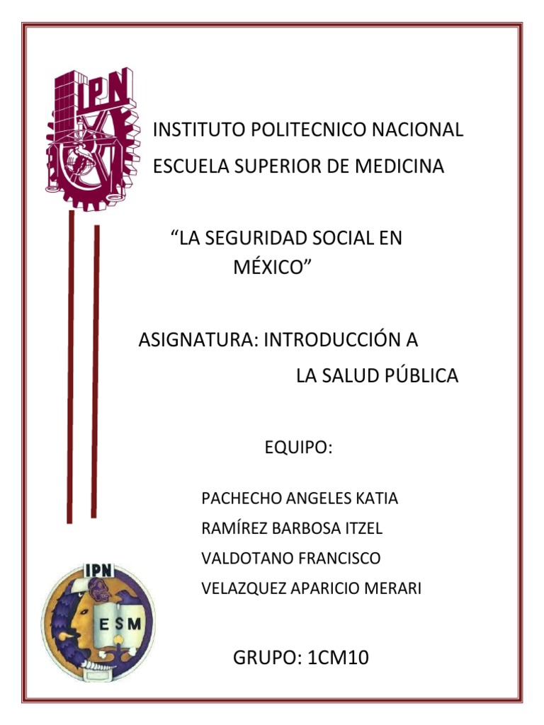 Seguridad Social En México Pdf Seguridad Social México
