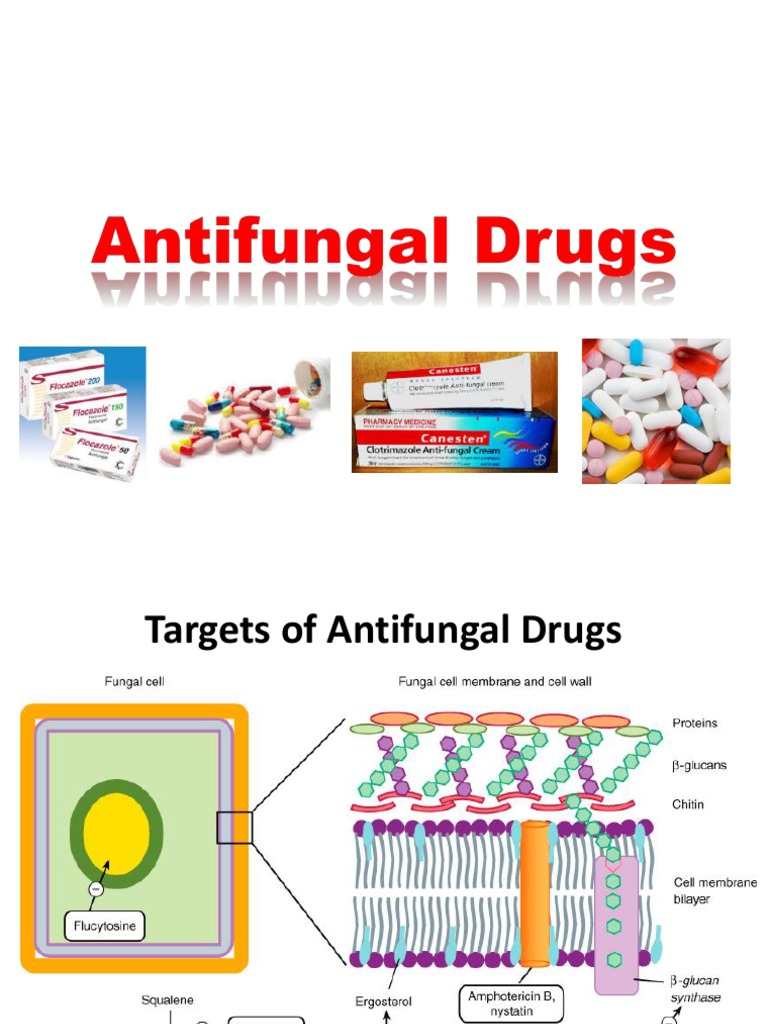 Antifungal Drugs PDF Medical Specialties Immunology