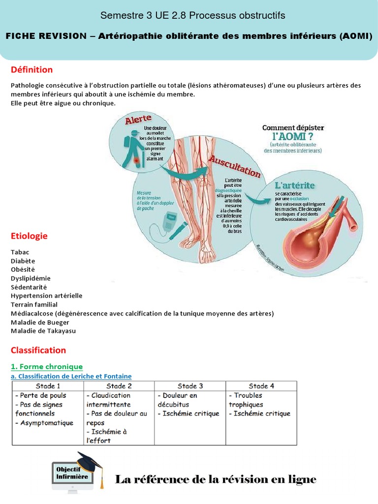 fiche-r-vision-aomi-et-classification-pdf-maladies-vasculaires