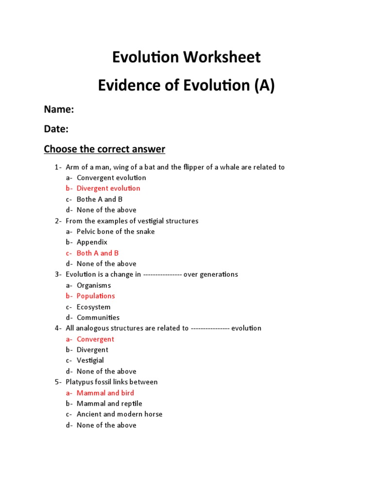 Evolution Evidence Worksheet | PDF | Plate Tectonics | Nature