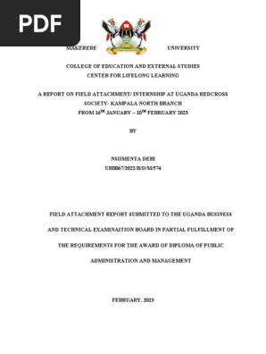 Internship report