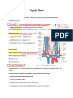 Thyroid Gland