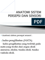 Anatomi Sistem Persepsi Dan Sensori