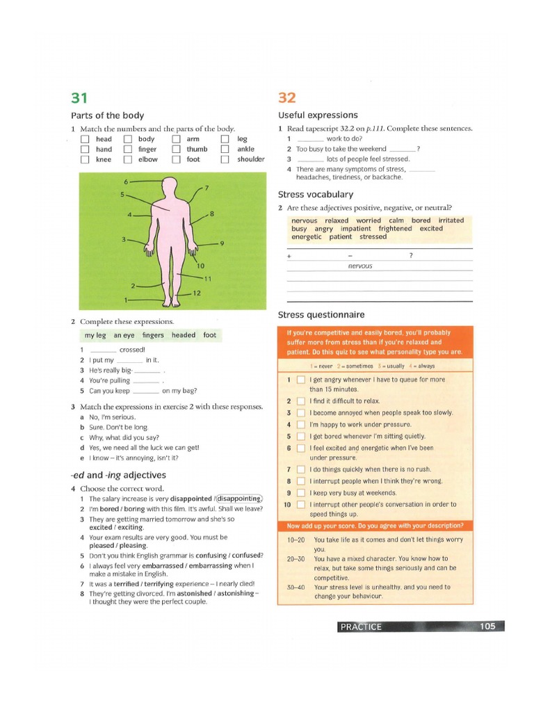 Unit 31 Practice Pages | PDF