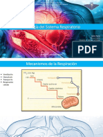 Fisiología Respiratoria