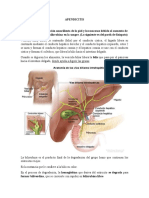 Apendicitis e Ictericia