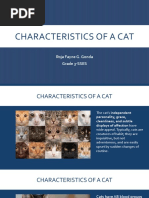 Characteristics of A Cat