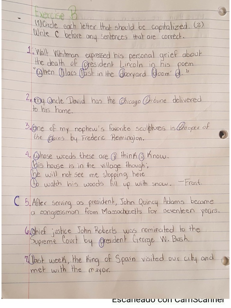 Language Homework 4 | PDF