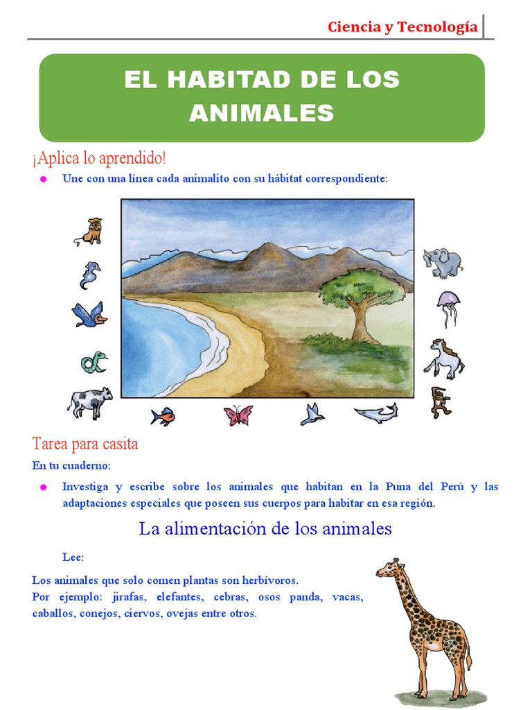 Animales y su hábitat en la Puna | PDF | Ciencia y matemáticas
