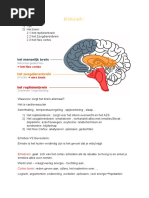 Jan Rothney Breaking Free 1 | PDF