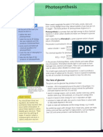 Photosynthesis Study Guide