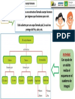 Ciencias El Cuerpo Humano Clase 2