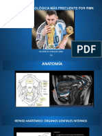 Lesiones Ginecológicas Benignas Por RMN