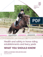 Health and Safety in Donkey Riding Establishments and Livery Yards What You Should Know