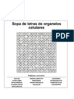 Acti 5 Grado Sopa de Letra