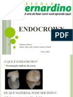 Endo Crown