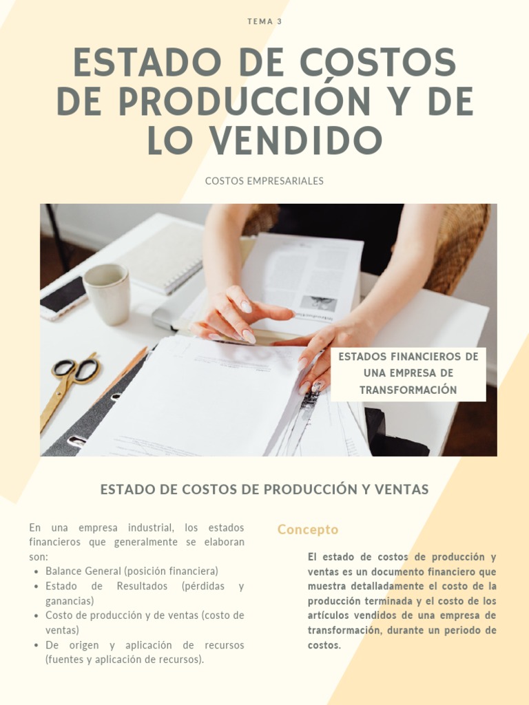 Estado de Costos de Producción y Ventas | PDF | Costo | Procesos de negocio