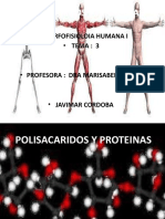 Polisacaridos y Proteinas