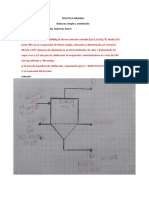 PRÁCTICA DIRIGIDA 1  fenomenos