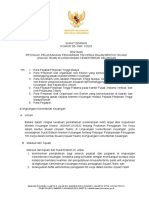 Petunjuk Pelaksanaan Penugasan Tim Kerja Dalam Bentuk Skuad Squad Team Di Lingkungan Kementerian Keuangan