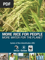 Download More Rice for People More Water for the Planet Sri by Cambodia_SRI SN62796902 doc pdf