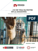 El Tráfico de Vida Silvestre en La Amazonía