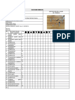 Diagrama Bimanual Actual