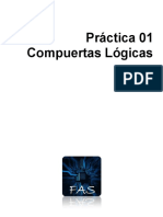 Formato P1