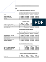 Presupuesto Maestro CHC