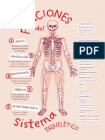 Gráfico Retrato Educativo Póster