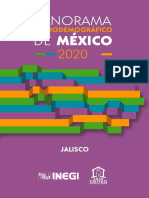 Panorama Jalisco 2020