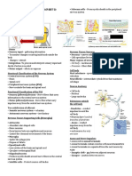 Nervous System Guide - CNS, PNS, Neurons, Reflexes (Part 2