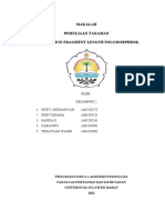 Analisis RFLP Pisang