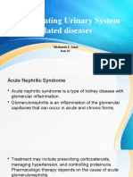 Drug Treating Urinary System Related Diseases FINAL