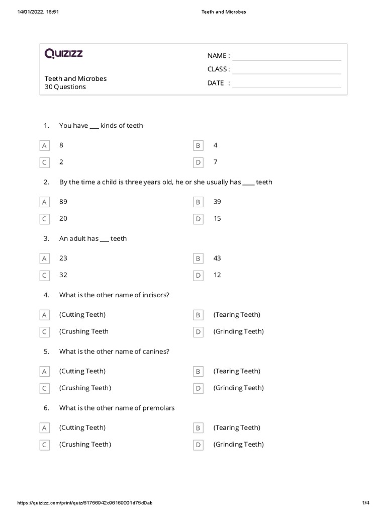 Revision Worksheet Teeth and Microbes PDF Tooth Tooth Enamel
