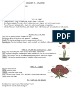 Resumen Unidad de Las Plantas en Inglés