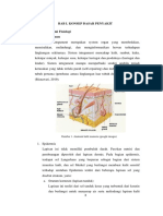 ANATOMY DAN FISIOLOGI KULIT