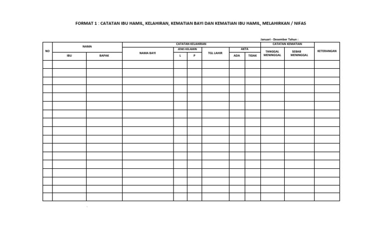 Catatan Kelahiran dan Kematian Ibu-Bayi | PDF