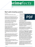 Beef Cattle Breeding Systems
