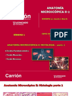 CLASE 5 Anatomía Microscópica III