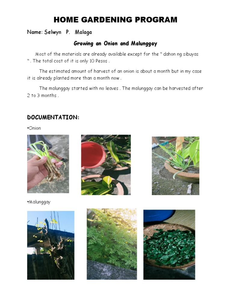 Home Gardening Program | PDF